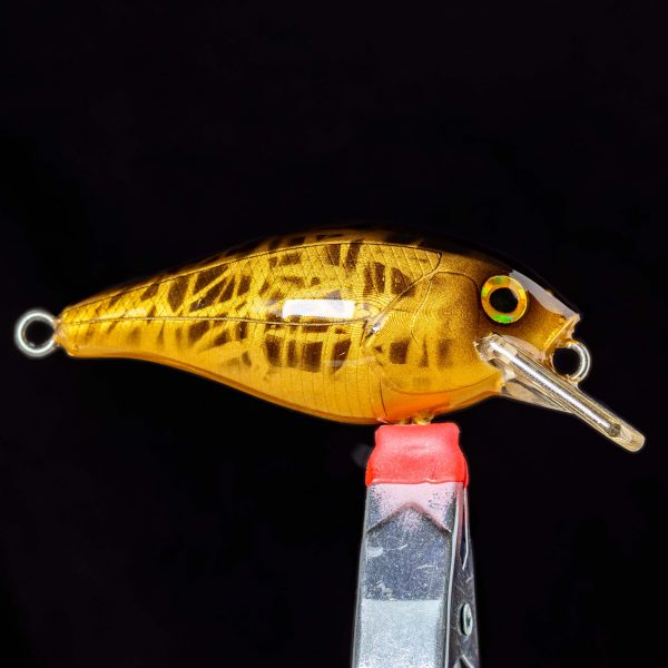 CRANKBAIT